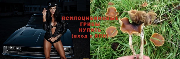 мяу мяу кристалл Краснослободск